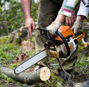 Chain Saw Guide: Use Safety in the Woods Image
